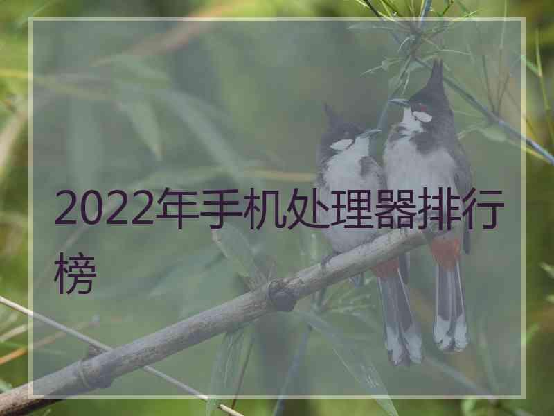 2022年手机处理器排行榜