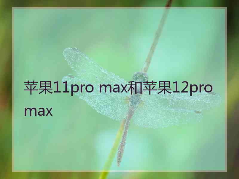 苹果11pro max和苹果12pro max