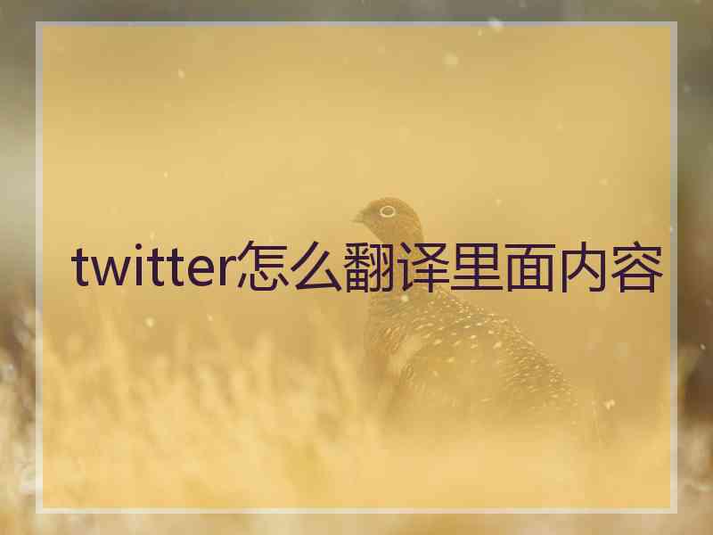 twitter怎么翻译里面内容