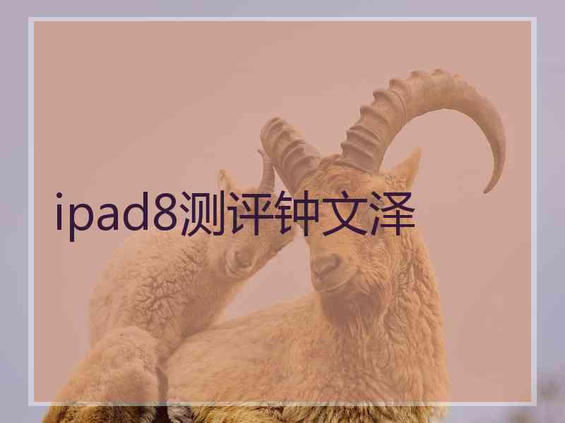 ipad8测评钟文泽