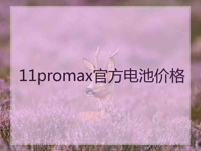 11promax官方电池价格