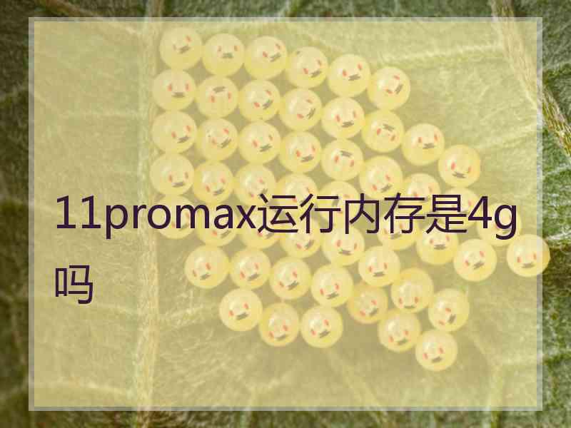 11promax运行内存是4g吗