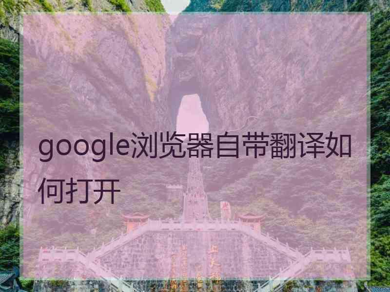 google浏览器自带翻译如何打开