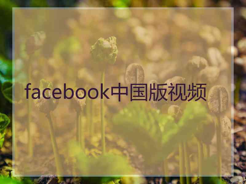 facebook中国版视频