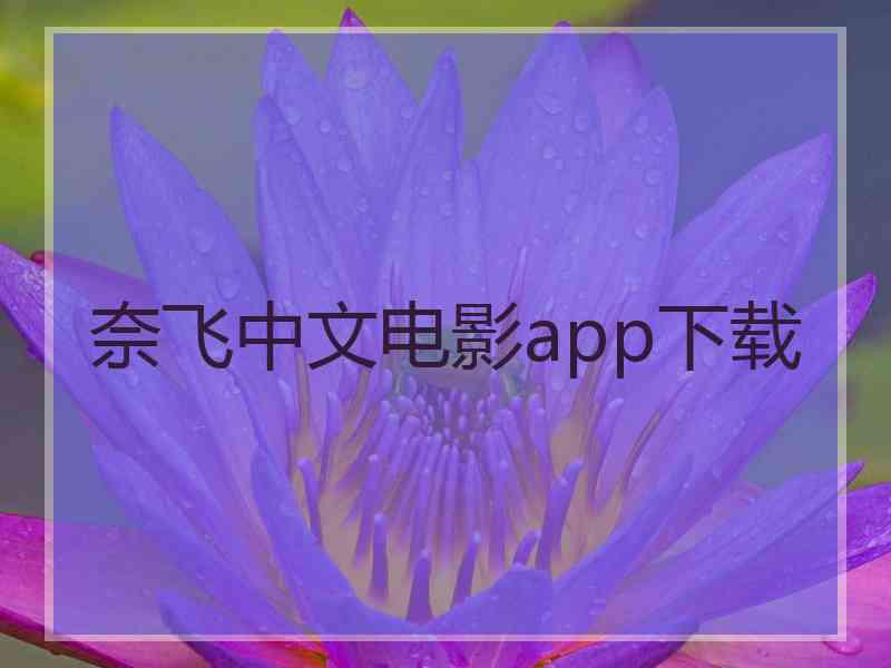 奈飞中文电影app下载