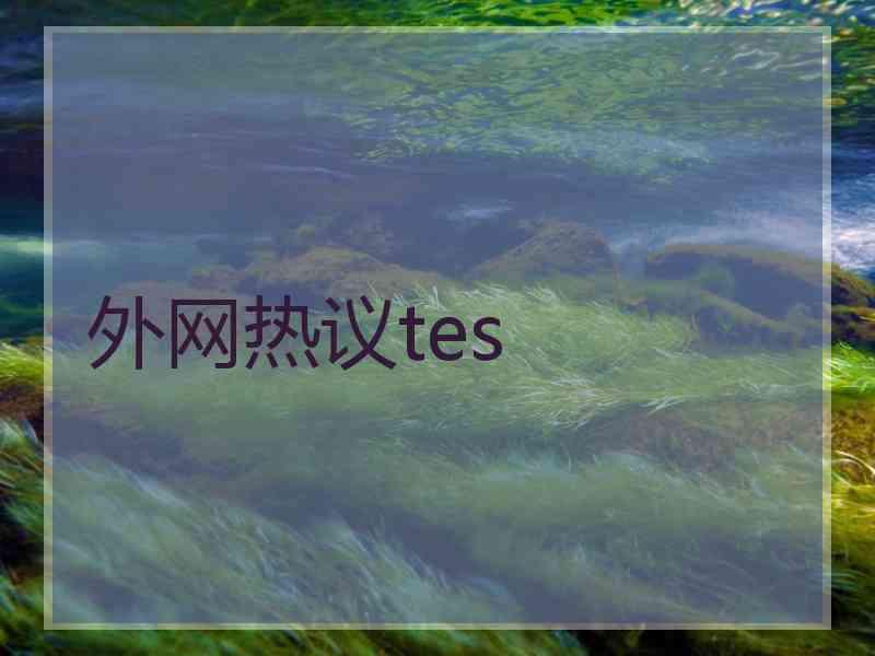 外网热议tes