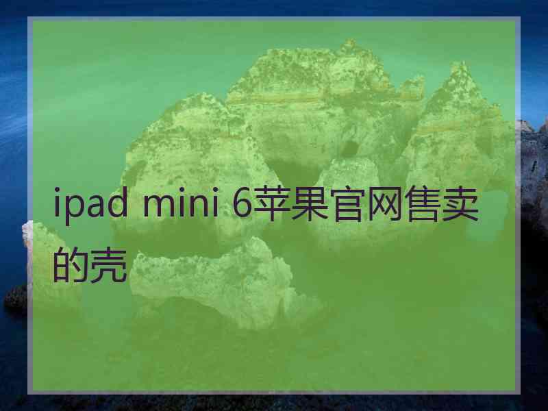 ipad mini 6苹果官网售卖的壳