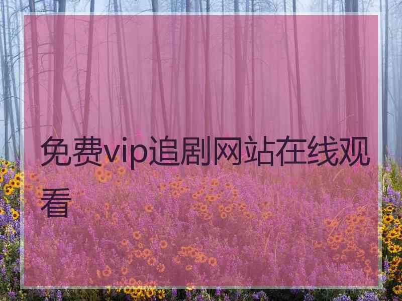 免费vip追剧网站在线观看