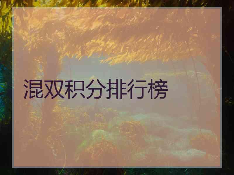 混双积分排行榜