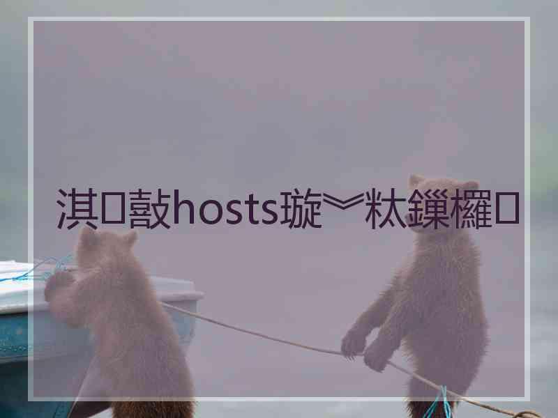 淇敼hosts璇︾粏鏁欏