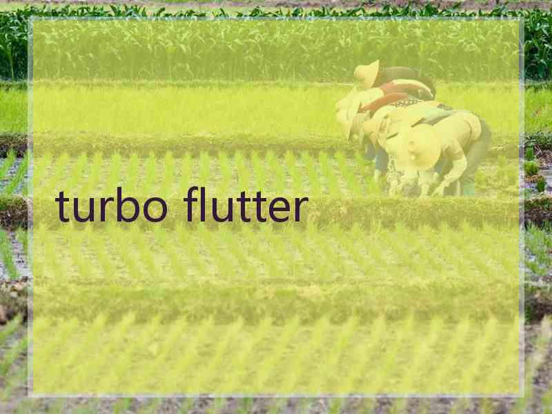 turbo flutter