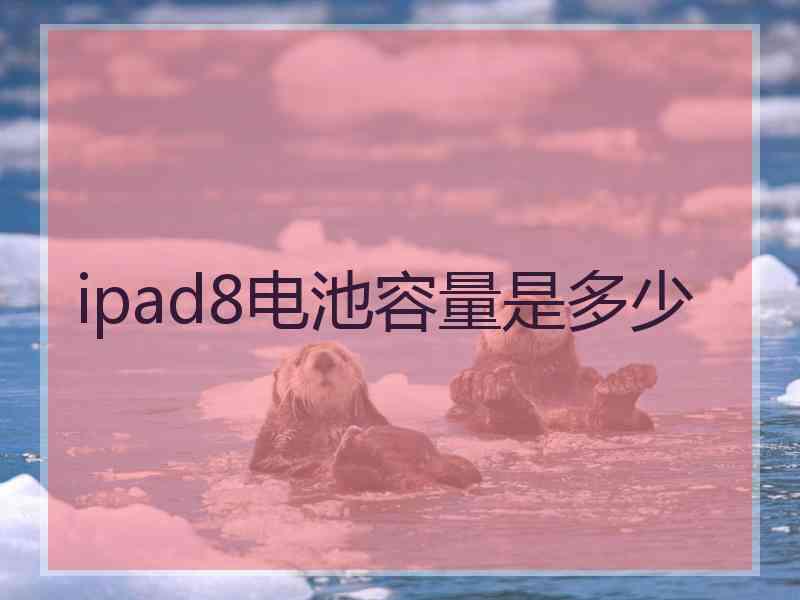 ipad8电池容量是多少