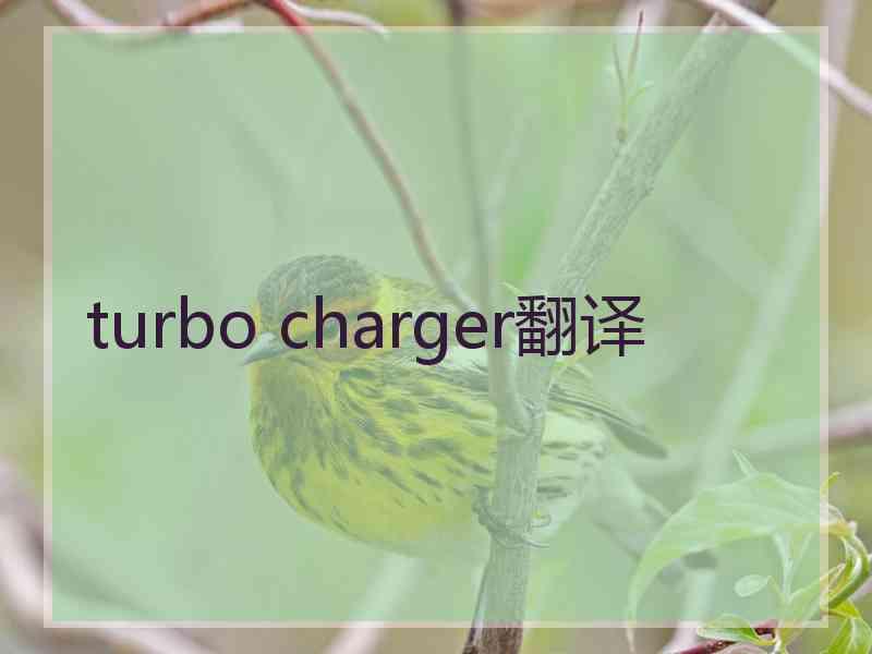 turbo charger翻译