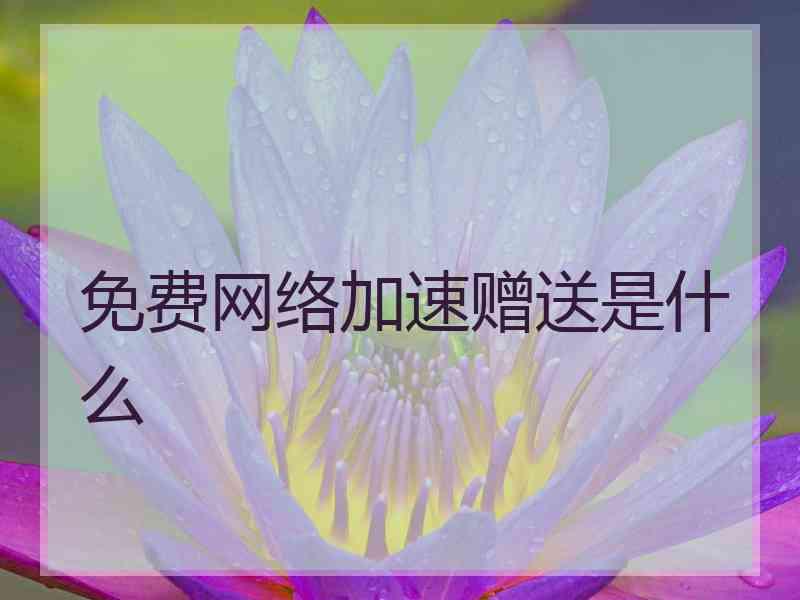 免费网络加速赠送是什么