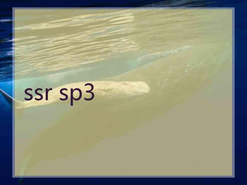 ssr sp3