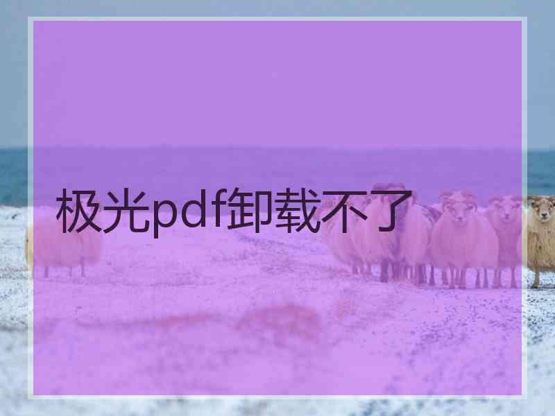 极光pdf卸载不了