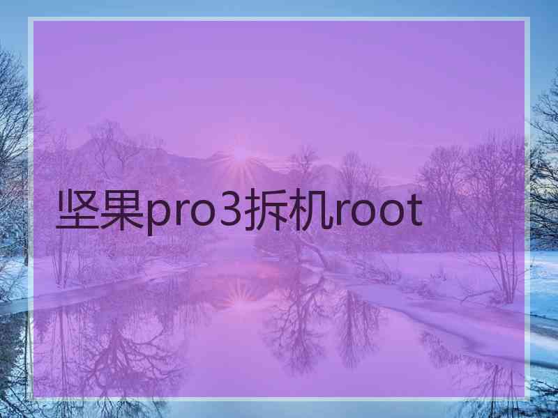 坚果pro3拆机root