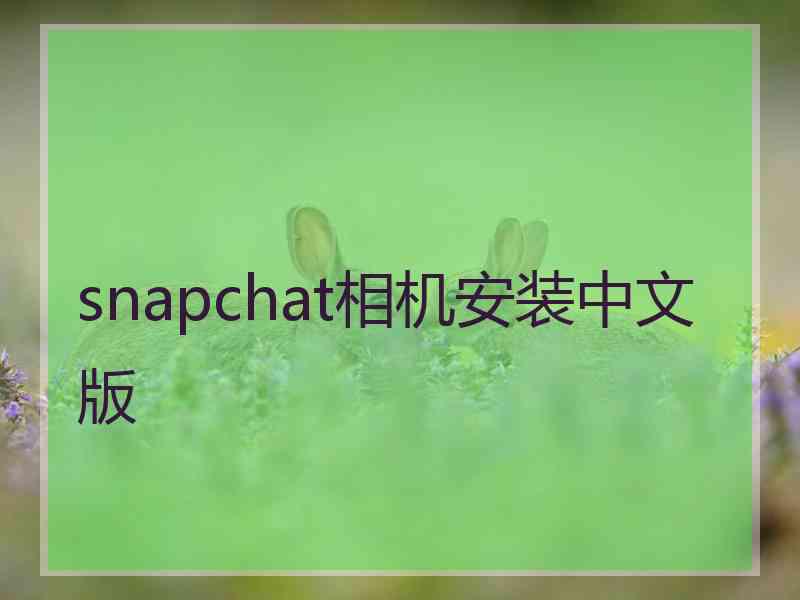 snapchat相机安装中文版