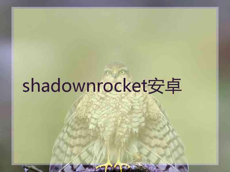 shadownrocket安卓