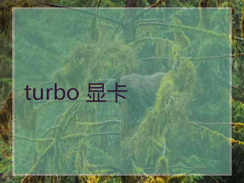 turbo 显卡