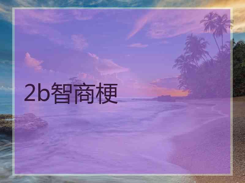 2b智商梗