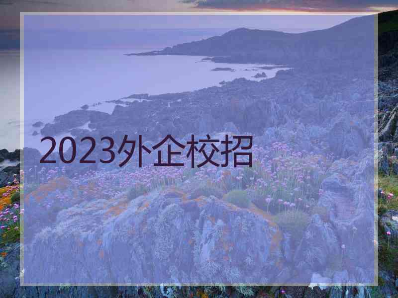 2023外企校招