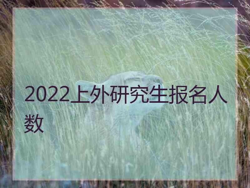 2022上外研究生报名人数