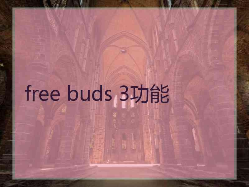 free buds 3功能