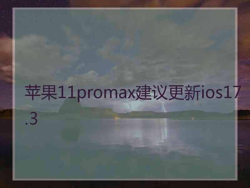 苹果11promax建议更新ios17.3