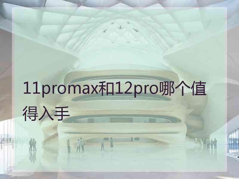 11promax和12pro哪个值得入手