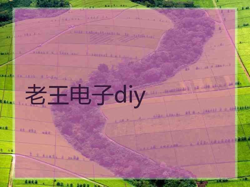 老王电子diy