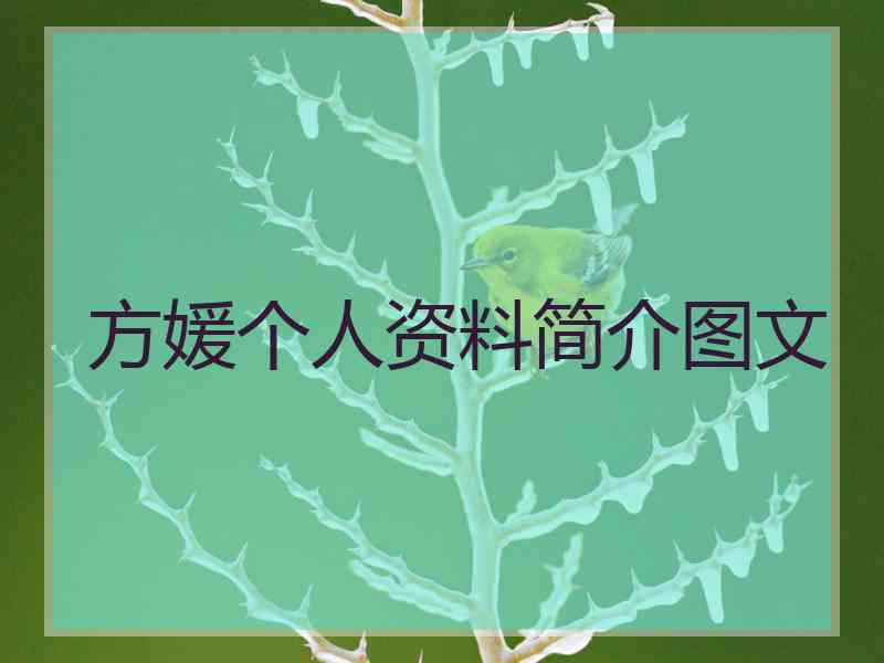 方媛个人资料简介图文