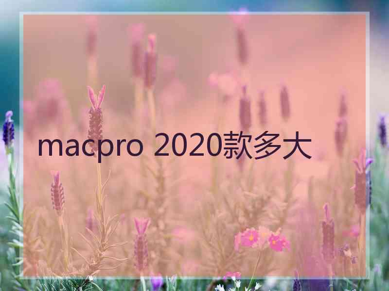 macpro 2020款多大