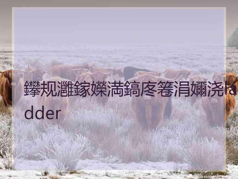 鑻规灉鎵嬫満鎬庝箞涓嬭浇ladder