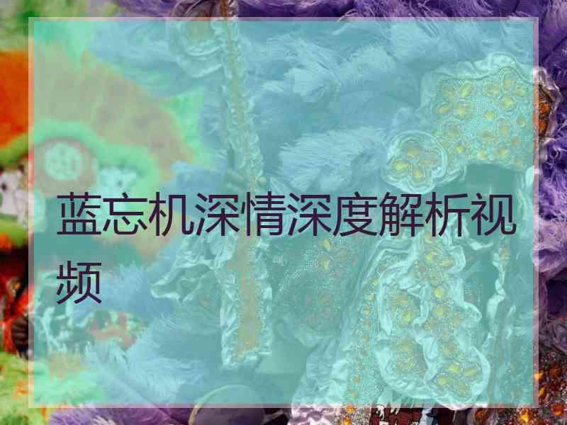 蓝忘机深情深度解析视频