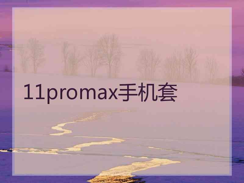 11promax手机套