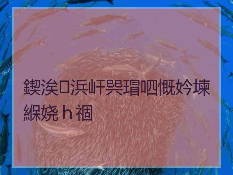 鍥涘浜屽巺瑁呬慨妗堜緥娆ｈ祻