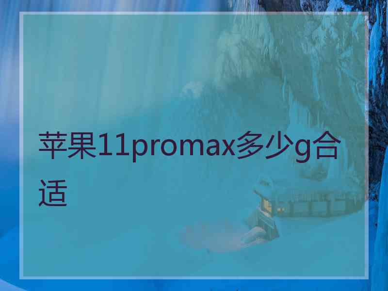 苹果11promax多少g合适