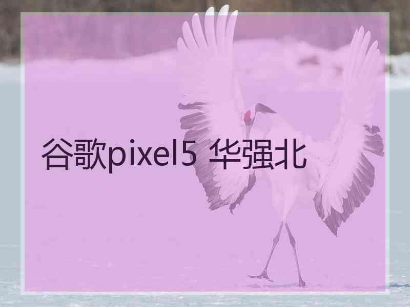 谷歌pixel5 华强北