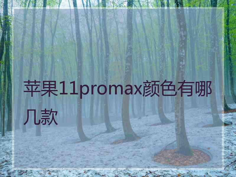 苹果11promax颜色有哪几款