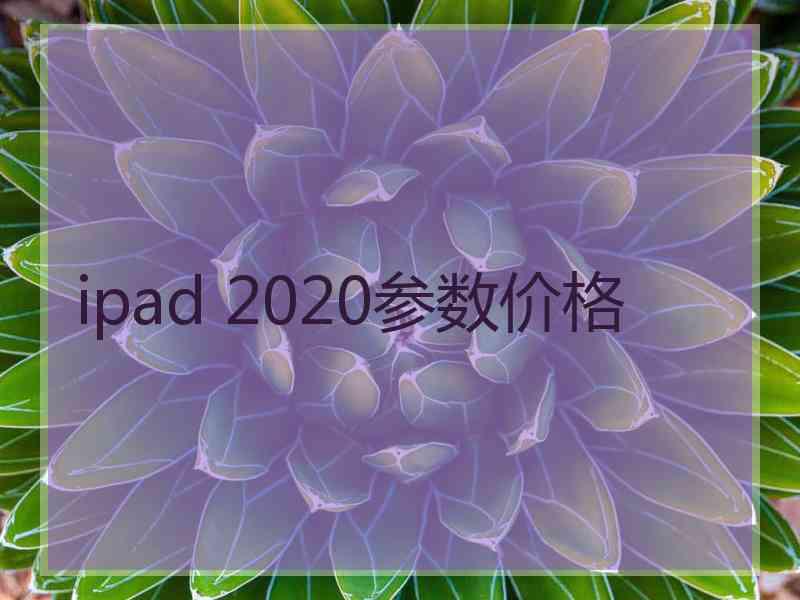 ipad 2020参数价格