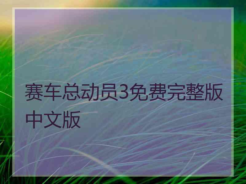 赛车总动员3免费完整版中文版