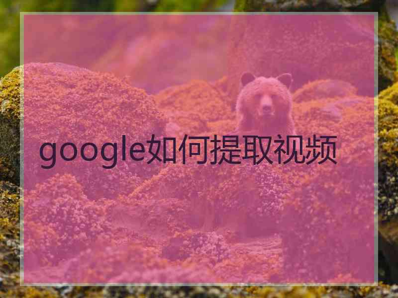 google如何提取视频