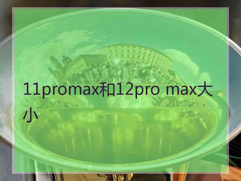 11promax和12pro max大小