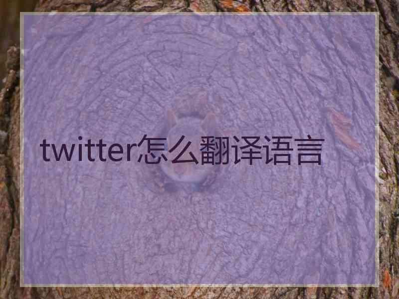 twitter怎么翻译语言