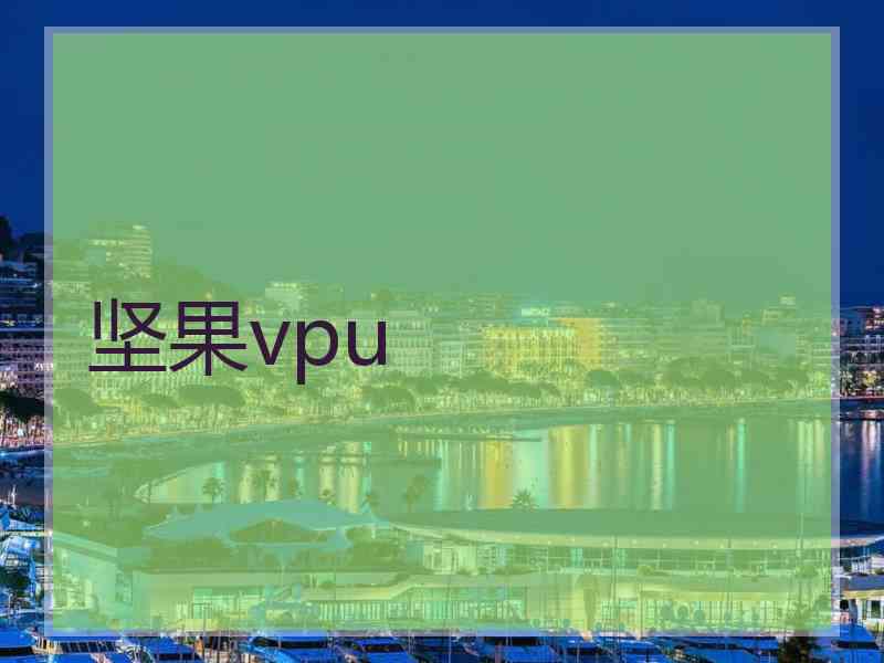 坚果vpu