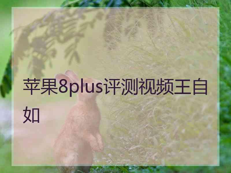 苹果8plus评测视频王自如