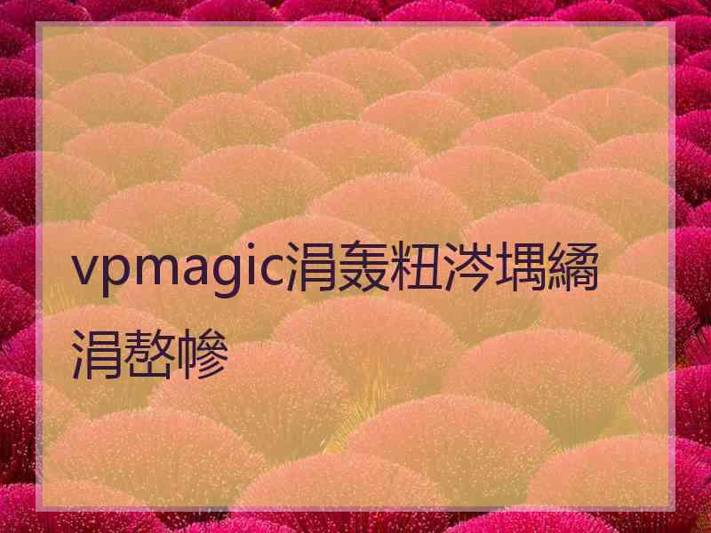 vpmagic涓轰粈涔堣繘涓嶅幓