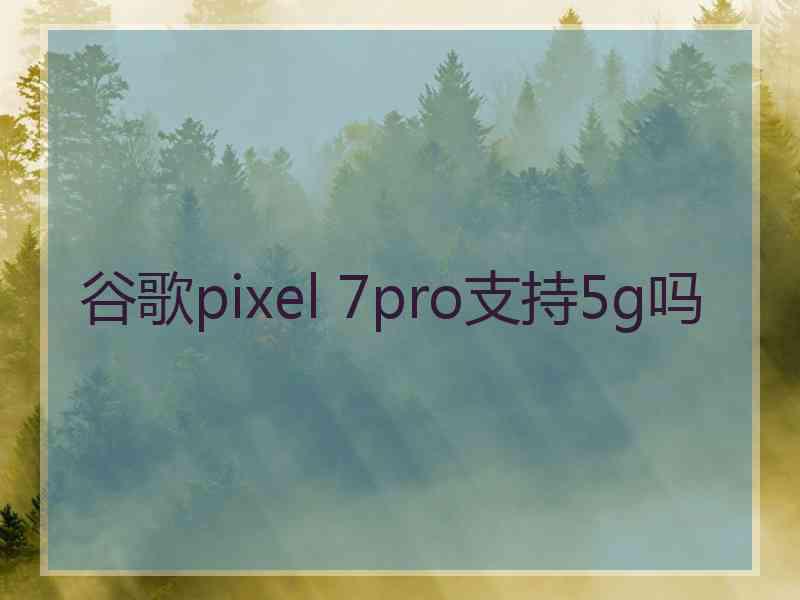 谷歌pixel 7pro支持5g吗