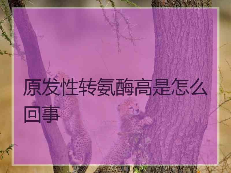 原发性转氨酶高是怎么回事